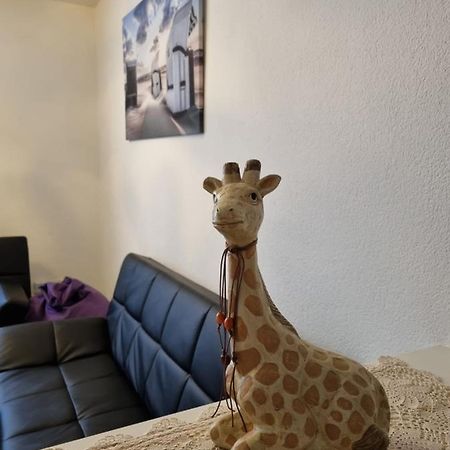 Monteurwohnung App 5 Pirmasens Ngoại thất bức ảnh